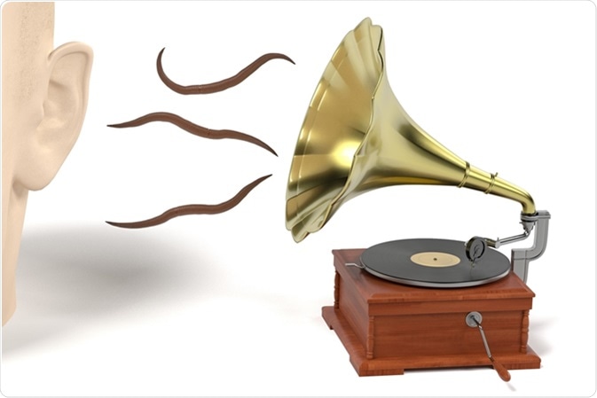 Earworm - musical worm. Image Credit: 3drenderings / Shutterstock